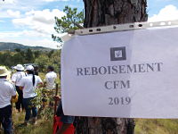 Le président, les membres du CFM ainsi que le personnel technique lors de la journée de reboisement (Vendredi 22 mars 2019 à Ambalavao, District d’Atsimondrano)
